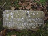 image of grave number 842336